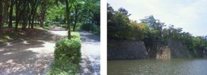 6ケ月ぶりの名城公園